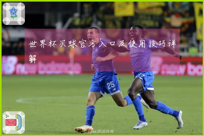 世界杯买球官方入口及使用技巧详解