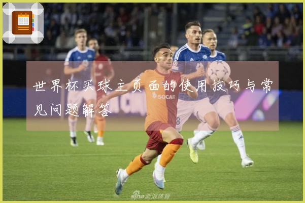 世界杯买球主页面的使用技巧与常见问题解答