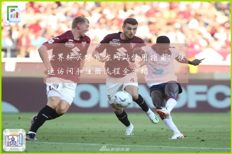 世界杯买球官方网站使用指南：快速访问和注册流程全介绍