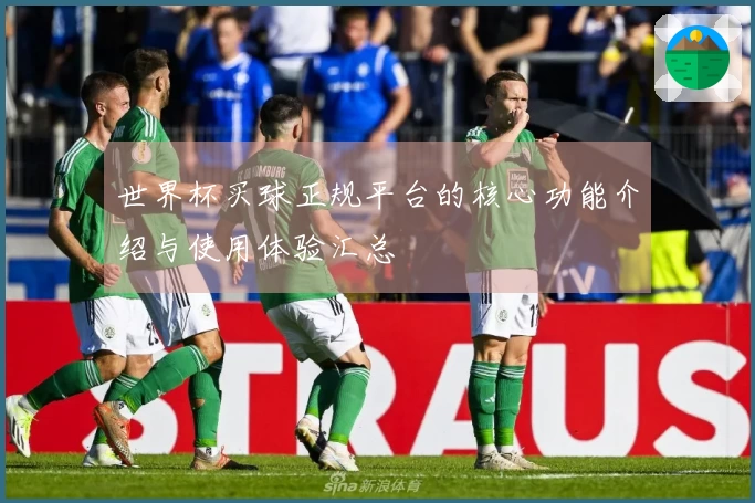 世界杯买球正规平台的核心功能介绍与使用体验汇总