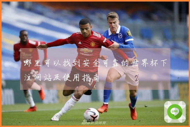 哪里可以找到安全可靠的世界杯下注网站及使用指南