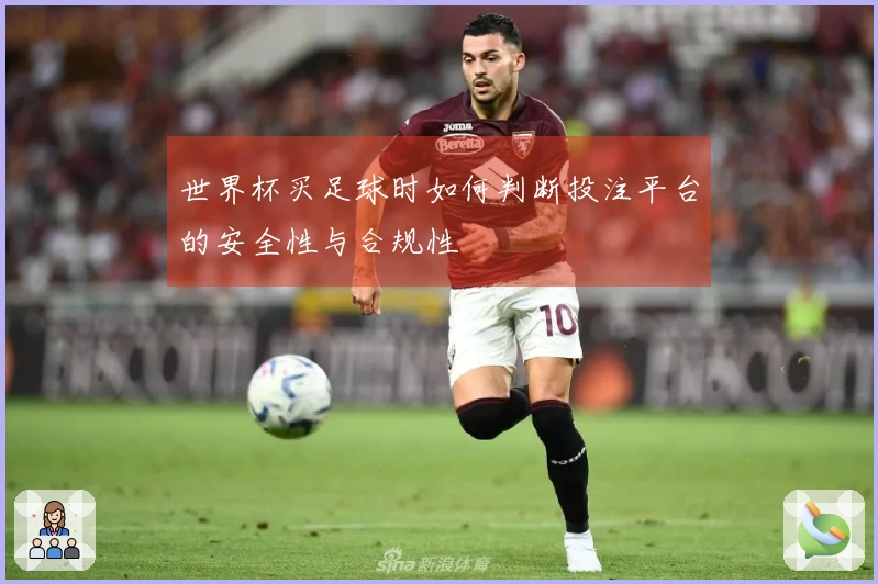 世界杯买足球时如何判断投注平台的安全性与合规性