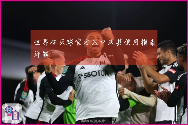 世界杯买球官方入口及其使用指南详解