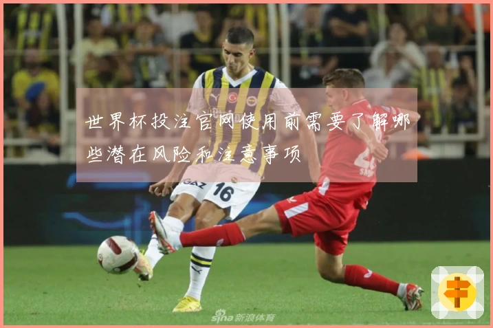 世界杯投注官网使用前需要了解哪些潜在风险和注意事项