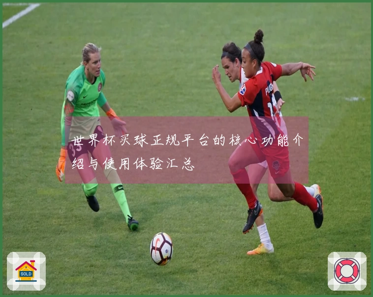 世界杯买球正规平台的核心功能介绍与使用体验汇总