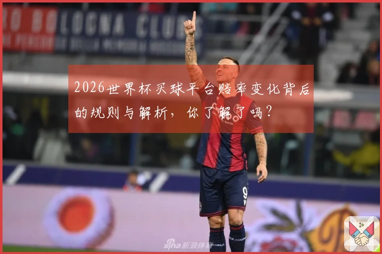 2026世界杯买球平台赔率变化背后的规则与解析，你了解了吗？