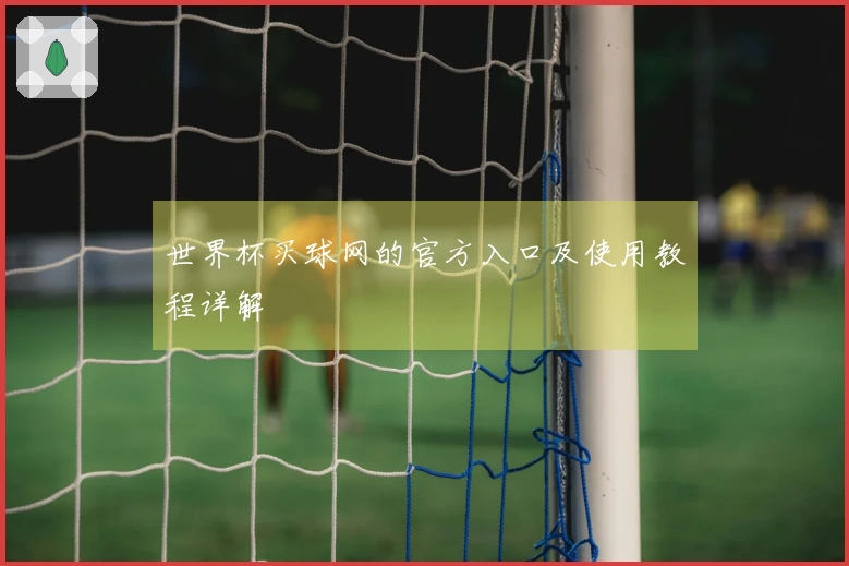 世界杯买球网的官方入口及使用教程详解