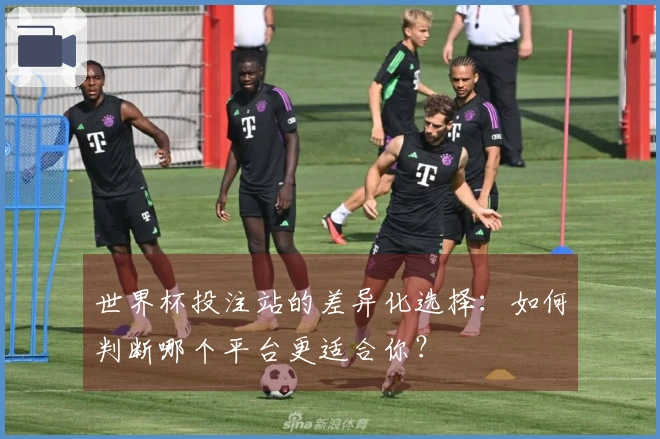 世界杯投注站的差异化选择：如何判断哪个平台更适合你？