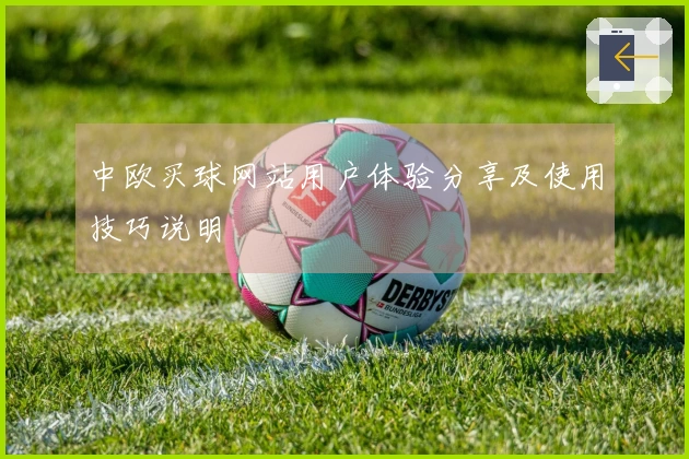 中欧买球网站用户体验分享及使用技巧说明