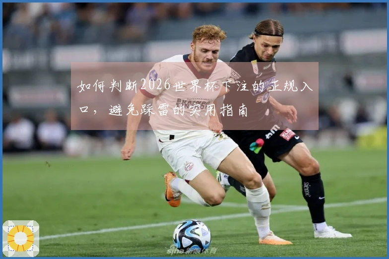 如何判断2026世界杯下注的正规入口，避免踩雷的实用指南