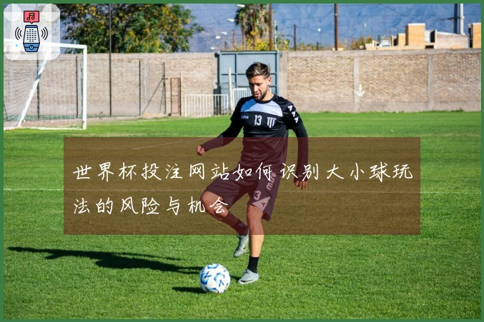 世界杯投注网站如何识别大小球玩法的风险与机会