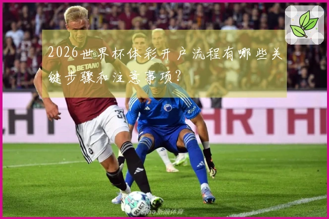 2026世界杯体彩开户流程有哪些关键步骤和注意事项？