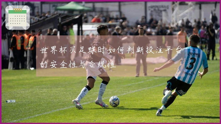 世界杯买足球时如何判断投注平台的安全性与合规性