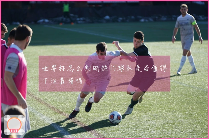 世界杯怎么判断热门球队是否值得下注靠谱吗