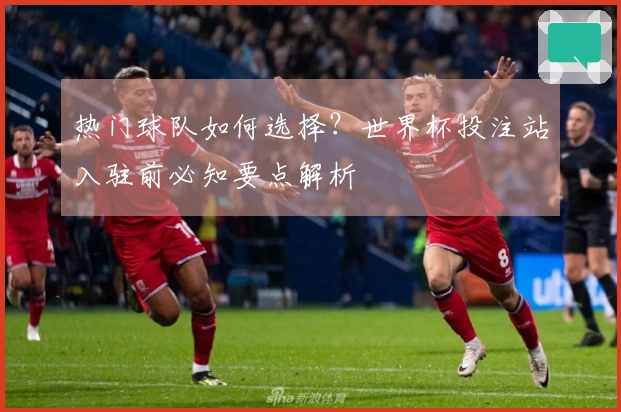 热门球队如何选择？世界杯投注站入驻前必知要点解析