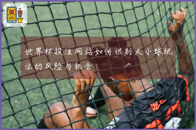 世界杯投注网站如何识别大小球玩法的风险与机会