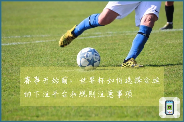 赛事开始前，世界杯如何选择合适的下注平台和规则注意事项