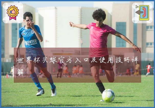 世界杯买球官方入口及使用技巧详解